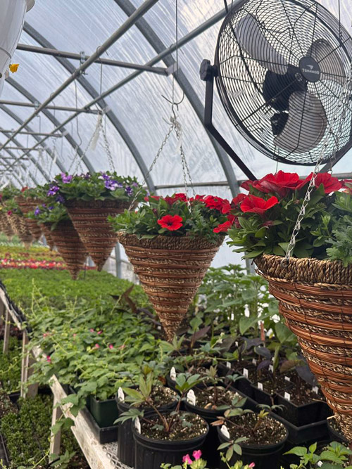 Woven Hanging Baskets