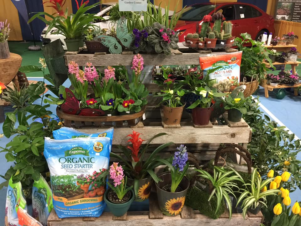 Seeds, Seed starters, soil, houseplants and repotting supplies