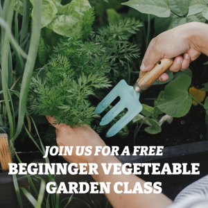 Join us for a FREE Beginning Vegetable Gardening Class
